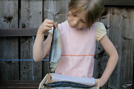 Die Besten beerdigungen der Welt